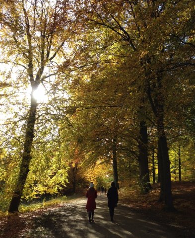 efterår 2016